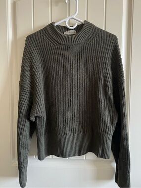 Everlane Chunky Knit Cotton Crewneck Sweater in Olive Green